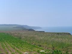Lovely cliff top scenery, heading out of Trimingham towards Overstrand and the end of the day's walk. We found ourselves in a rush to get the bus, and so this was a march (second one of the day!)